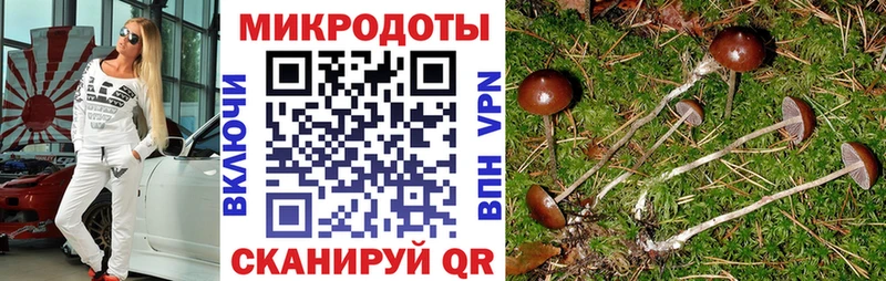 магазин    Верхняя Салда  Галлюциногенные грибы MAGIC MUSHROOMS 