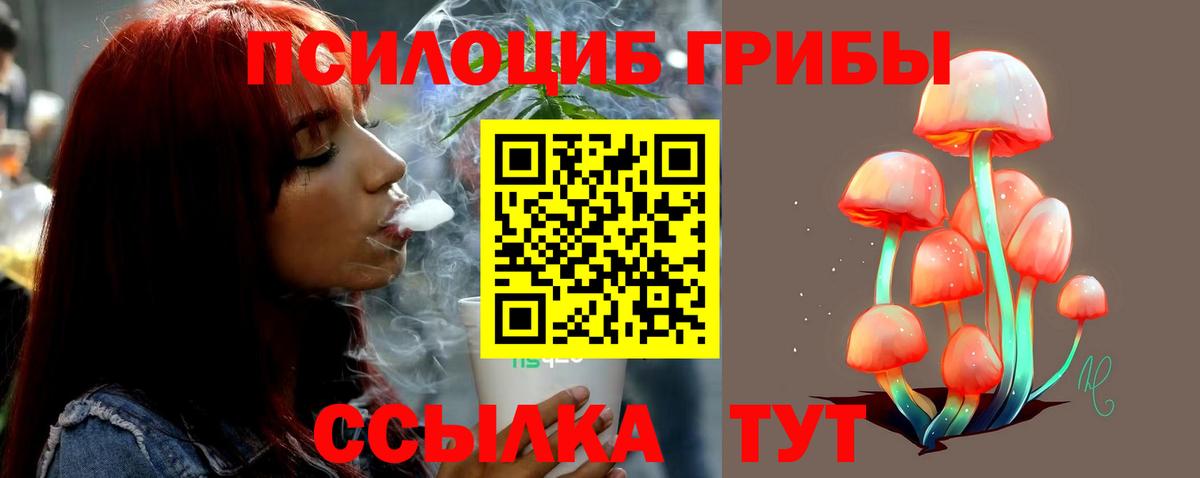 Псилоцибиновые грибы мицелий Верхняя Салда